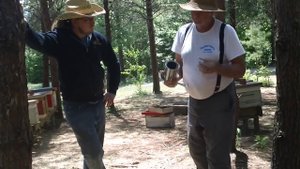 Как готовить банку с сиропом для пчелопакета? (Советы от Дона)