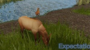 Expectation vs Reality Elk Herd (Cenozoic Survival, Roblox)