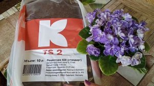 Торф для фиалок! В каком грунте лучше растут фиалки? Фиалки у Алисы.