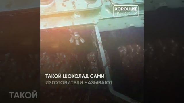 В Россию возвращается качественный натуральный шоколад