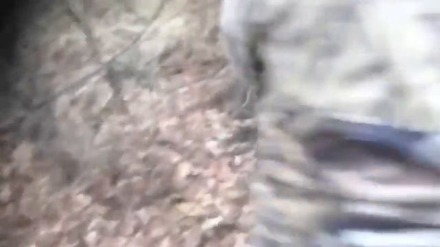 Охота на кабана с ножом смотреть онлайн