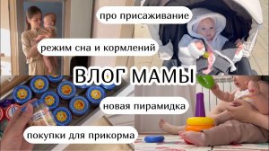 ВЛОГ МАМЫ :) режим сна и кормлений про присаживание, покупки для прикорма, пирамидка (30)