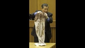 Нападение совы: сову обвинили в убийстве человека