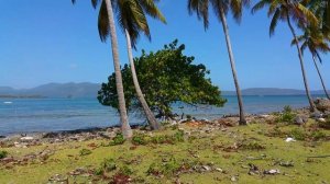 las galeras, Samana. HD