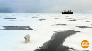 Идем в кино, отправляемся "В Арктику"! Доброе утро. Фрагмент выпуска от 01.03.2024