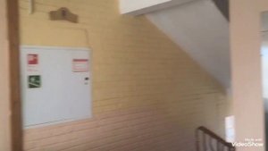 Обзор гостиницы Юность город Санкт-Петербург Купчино ул.Бумажная д. 7.