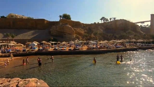 Обзор отеля с большим аквапарком в бухте - Albatros Aqua Park 5 / Шарм-эль-Шейх 2022 смотреть онлайн