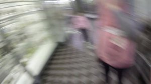 Зоологический музей Санкт-петербурга