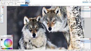 Paint.net работа с фотографиями, картинками, изображениями!