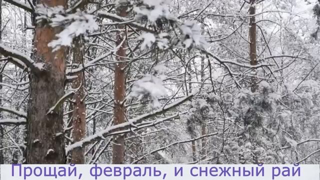 Прощай, февраль ( мелодекламация) - стихи Ирины Мишиной. смотреть онлайн