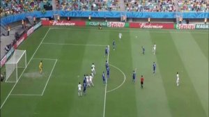 Чемпионат мира 2014. Босния и Герциговина - Иран 3-1. Обзор матча.