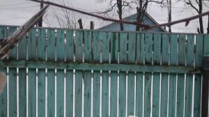 Как правильно обрезать ветви плодовых деревьев.Шаг 3 к правильной обрезке..mp4