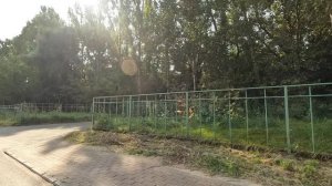 Утренняя велозарядка.