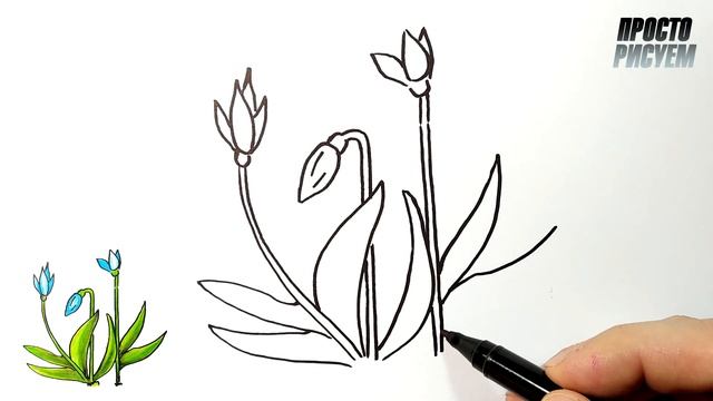 Как нарисовать ПОДСНЕЖНИКИ, Простые рисунки смотреть онлайн