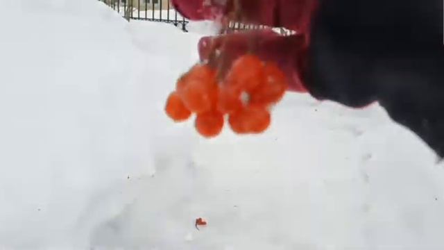 Какая была зима 2020? Пока зима 2020! смотреть онлайн