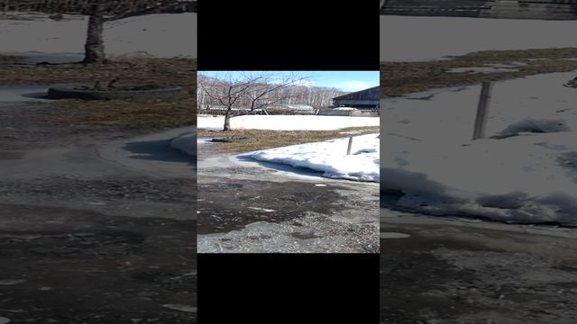 Вот это весна! Минус десять. Снова зима.