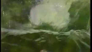 Анна Пиркова (Рыжова) "Чистая вода"