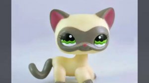 Кто ты из LPS, по знаку зодиака.