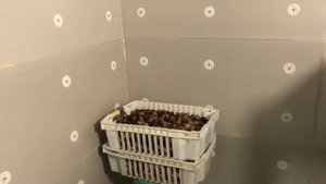 Утепление погреба