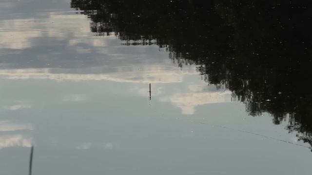 Червяк и опарыш теперь никто не купит! Супер рыболовная насадка на карася! Насадка для карася! смотреть онлайн