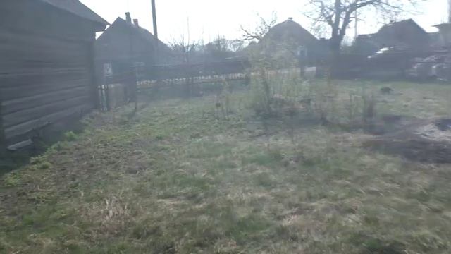 Вот так надо сажать картофель/Будем поднимать целину.... смотреть онлайн