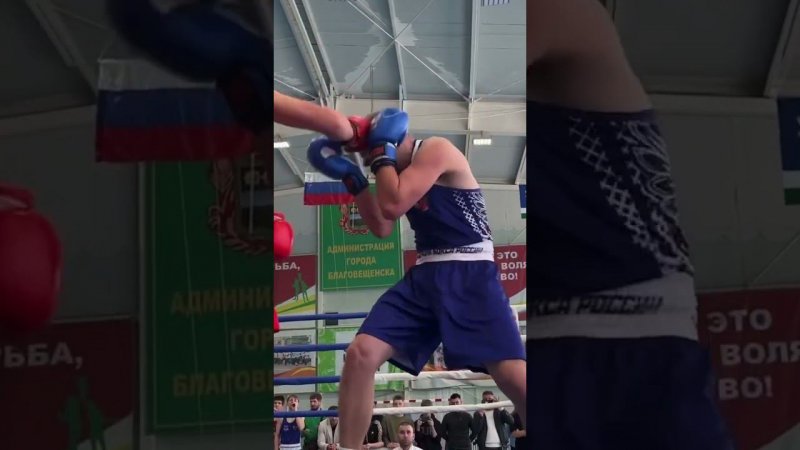 #shorts #boxing