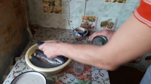 Солим рыбу сельдь