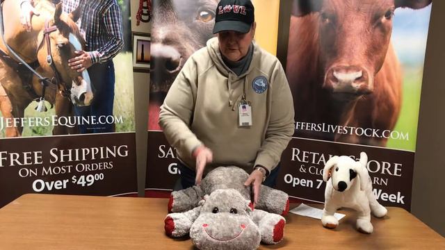 What To Do If Your Dog Is Choking! смотреть онлайн