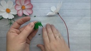 Космея (Космос) цветок из креп бумаги /Cosmos Paper Flowers