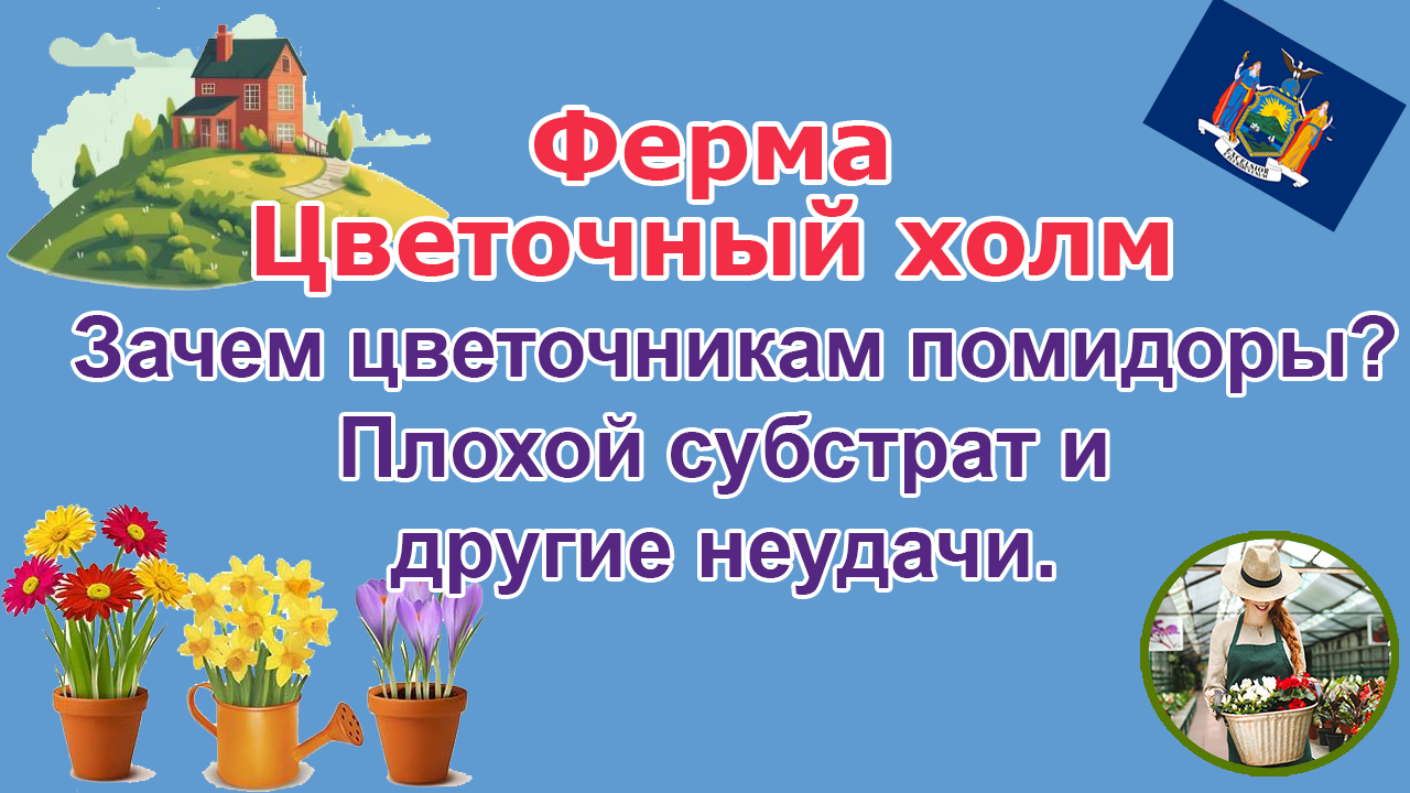 Ферма "Цветочный Холм". Зачем цветочникам помидоры? Плохой субстрат. Посевы не вовремя.