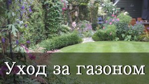 УХОД ЗА ГАЗОНОМ СОВЕТЫ И СЕКРЕТЫ / как сделать газон и как посадить газон?