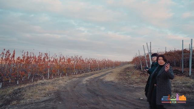 Земля – кормилица. К дню работника сельского хозяйства