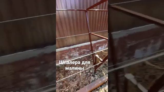 Шпалера для малины #шпалера #шпалерадлямалины  #уральскаяусадьба