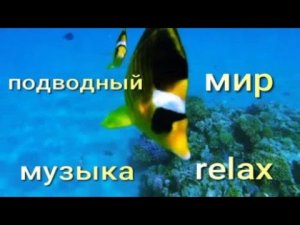 природа подводный мир релакс музыка красивое видео