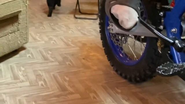 Первый запуск питбайка Irbis смотреть онлайн