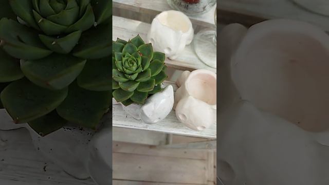 Маленькие декоративные кашпо для суккулентов.      Small decorative pots for succulents