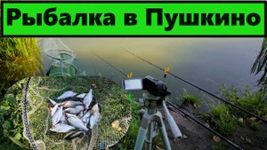 Рыбалка в Пушкино на фидер осенью