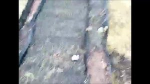 Засыпаем дорожки жужалкой. Грязи нет, медведка в шоке.