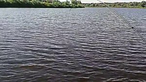 Рыбалка на реке Ловать(Сом)