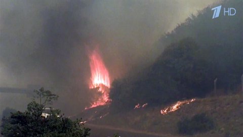 В Южной Африке уже второй день бушует пожар у подножья знаменитой Столовой горы