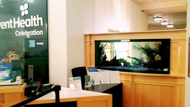 ПРИМЕРКИ❤В ШИКАРНОЙ КЛИНИКЕ В ДОРОГОМ БОГАТОМ ГОРОДЕ CELEBRATION смотреть онлайн