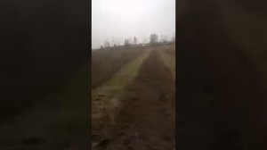 Работа мульчером (косилка молотковая) Уралец 1,45 м. на минитракторе Синтай (Рустрак)