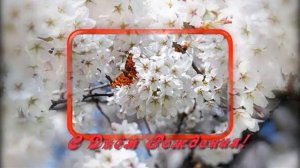 Поздравление С ДНЁМ РОЖДЕНИЯ ЖЕНЩИНЕ ( В СТИХАХ.)???Очень Красивое Поздравление с Днем Рождения.