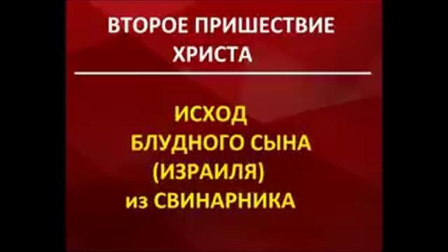 Второе Пришествие Христа.ИСХОД БЛУДНОГО СЫНА(ИЗРАИЛЯ) ИЗ СВИНАРНИКА.Радеев Владимир(муже)