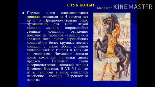 "Первое животное, прирученное человеком" смотреть онлайн