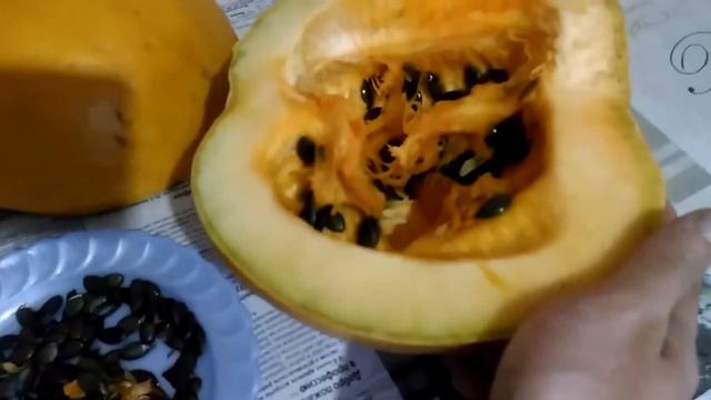 Тыква голосемянная. Выбираем семена. смотреть онлайн