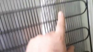 Холодильник vestfrost ошибка Sr ремонтируем (часть 2)