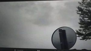 Гуси улетают в теплые края