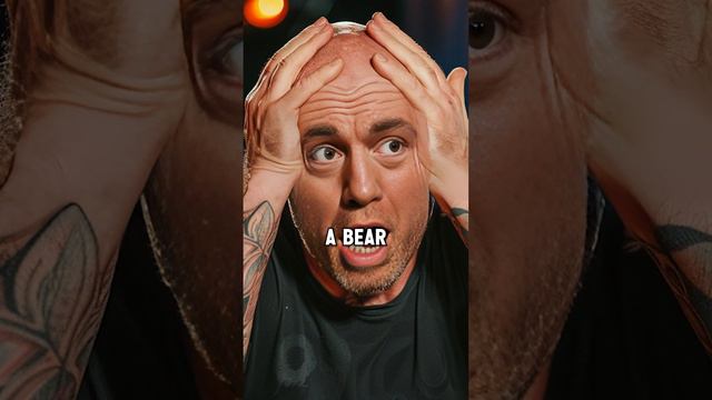 Kuma from Tekken is Joe Rogan's favourite fighter смотреть онлайн