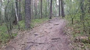 ЧЕРТОВО ГОРОДИЩЕ. Карантиновидение. Урал. Уральские горы. История Урала. Екатеринбург